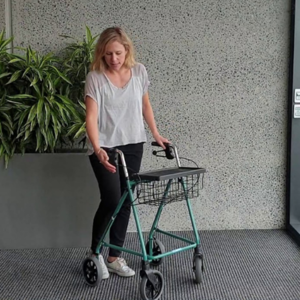 Pacer folding walking frame