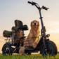 Gyroor C5 electric trike with two baskets